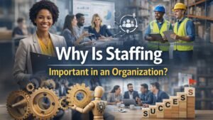 Why staffing is important in organisations